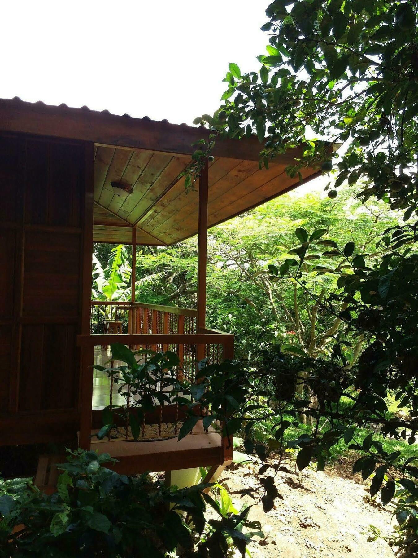Rancho De Lelo Ecolodge Monteverde Exterior photo