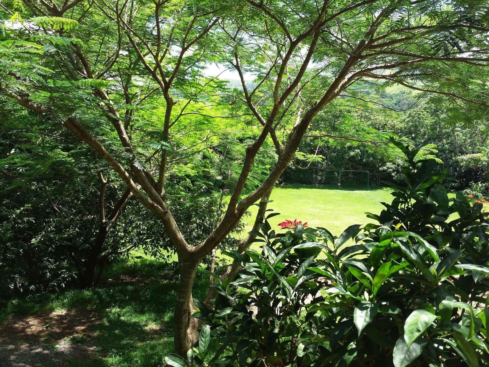 Rancho De Lelo Ecolodge Monteverde Exterior photo