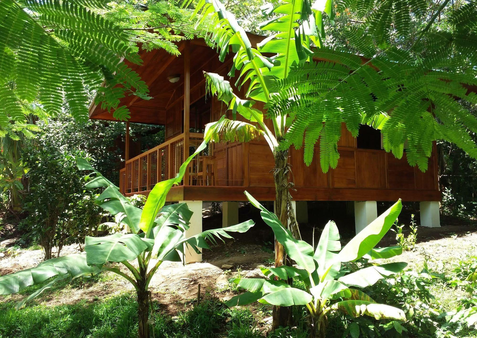Rancho De Lelo Ecolodge Monteverde Exterior photo
